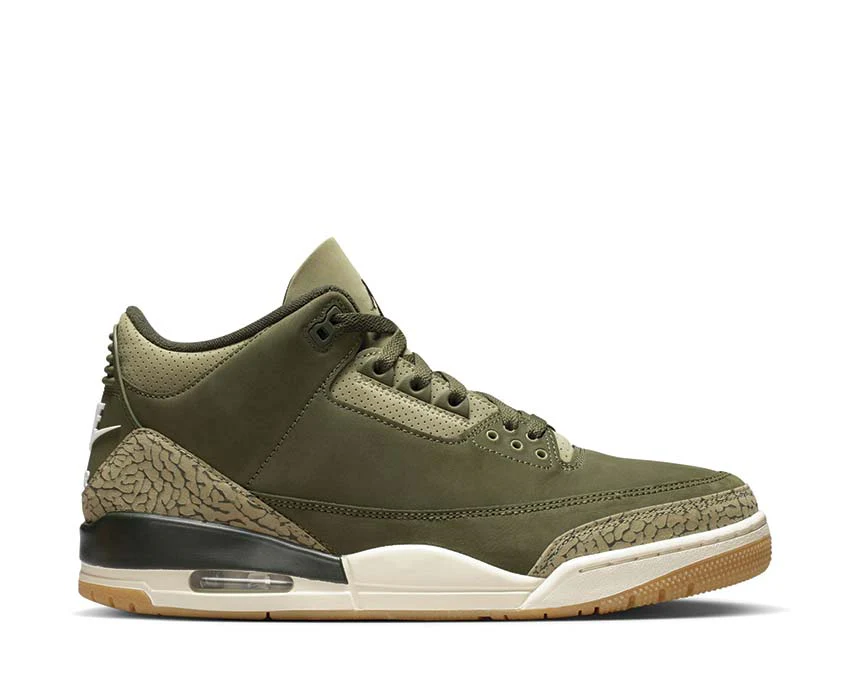 Air Jordan 3 Retro "Family Affair"