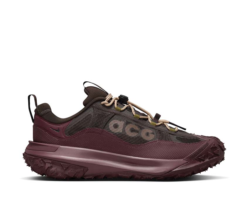 Nike ACG Mountain Fly 2 Low Gore-Tex "Velvet Brown"