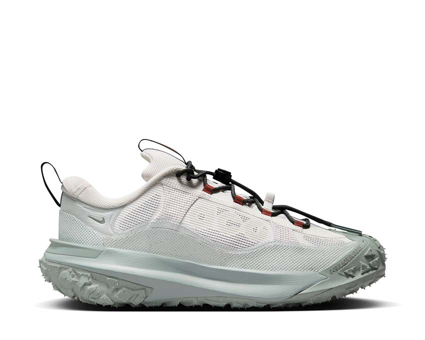Nike ACG Mountain Fly 2 Low GTX