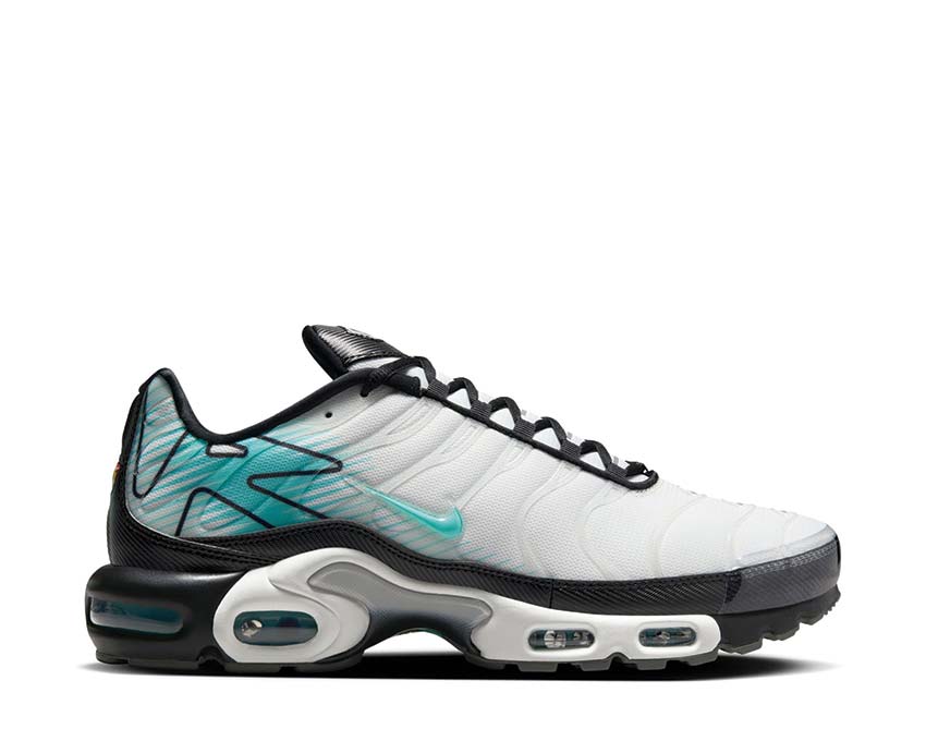 Nike Air Max Plus "Mercurial Vapor"