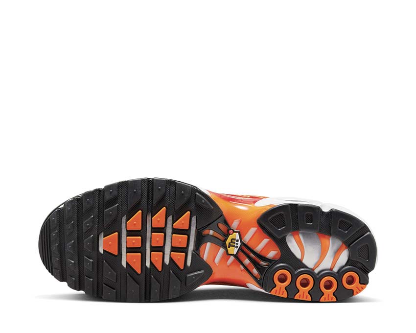 Nike Air Max Plus OG - Image 5