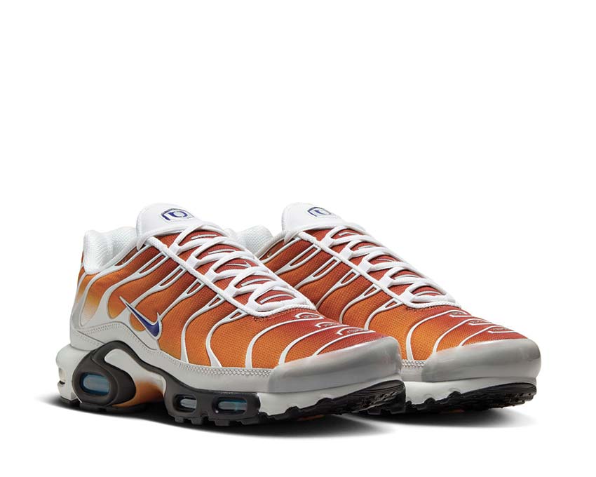Nike Air Max Plus One Black Down "Reverse" - Image 2