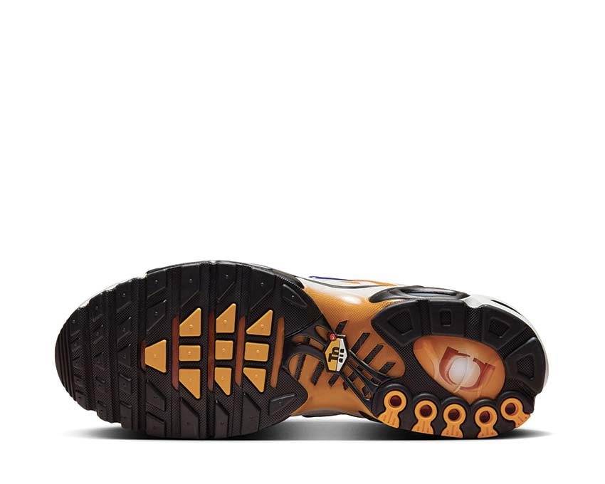 Nike Air Max Plus One Black Down "Reverse" - Image 5