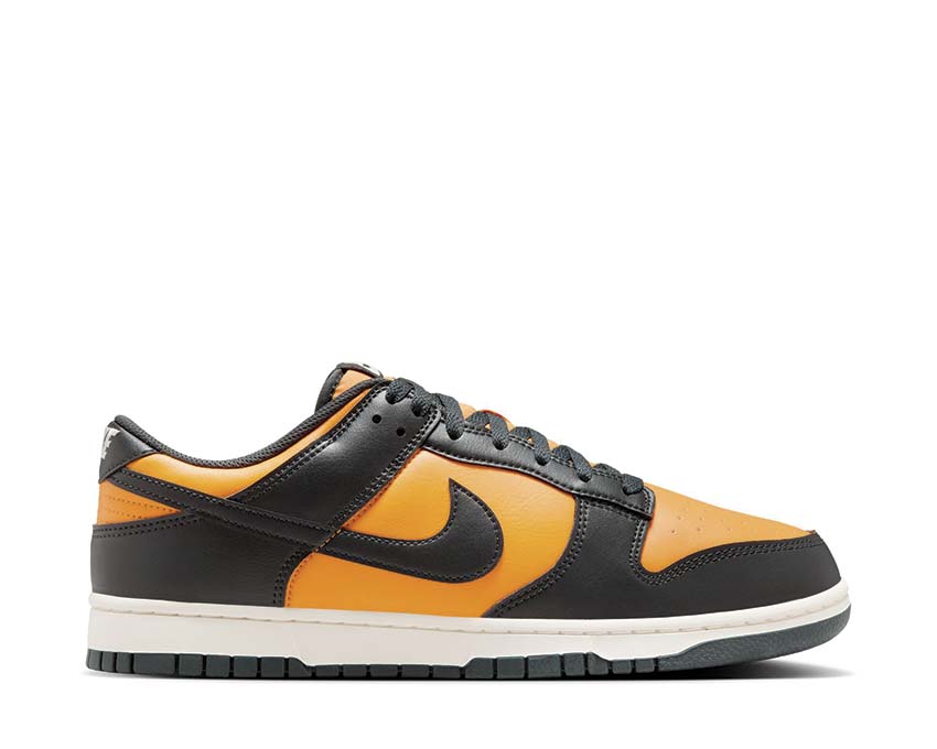 Nike Dunk Low Retro