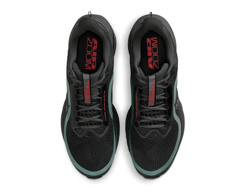 Nike Pegasus Premium "Anthracite" - Image 5