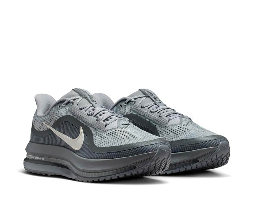 Nike Pegasus Premium "Wolf Grey" - Image 3