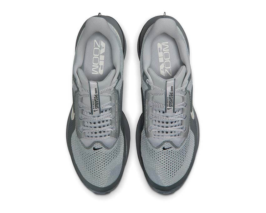 Nike Pegasus Premium "Wolf Grey" - Image 5