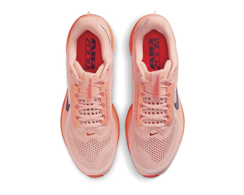 Nike Pegasus Premium "Washed Coral" - Image 5