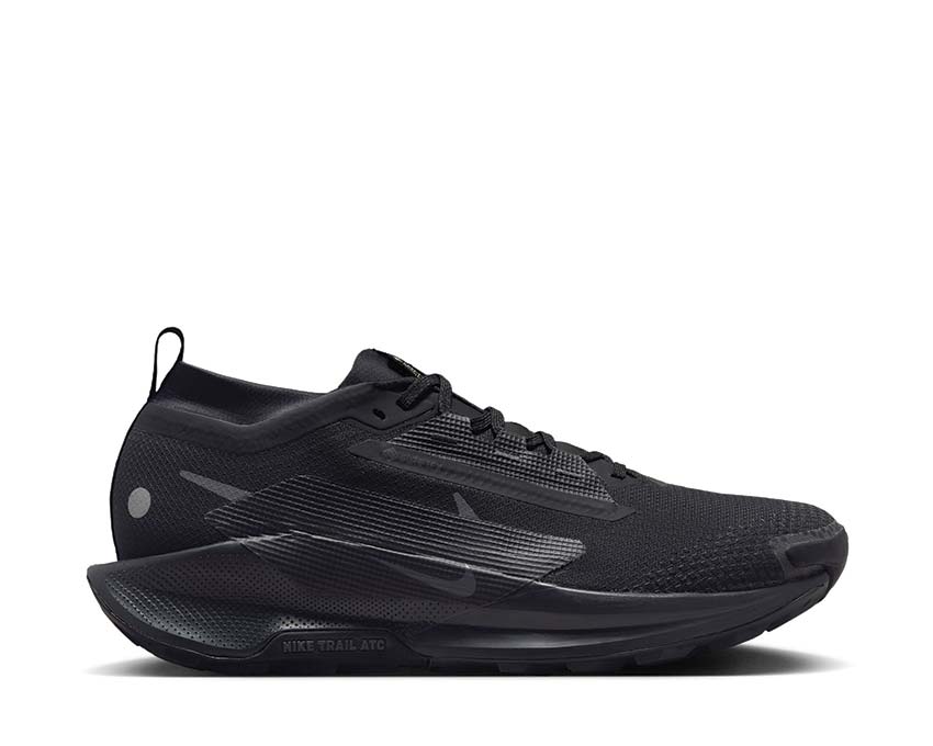 Nike Pegasus Trail 5 GTX