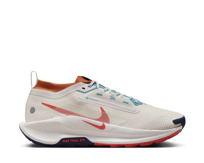 Nike Pegasus Trail 5 GTX