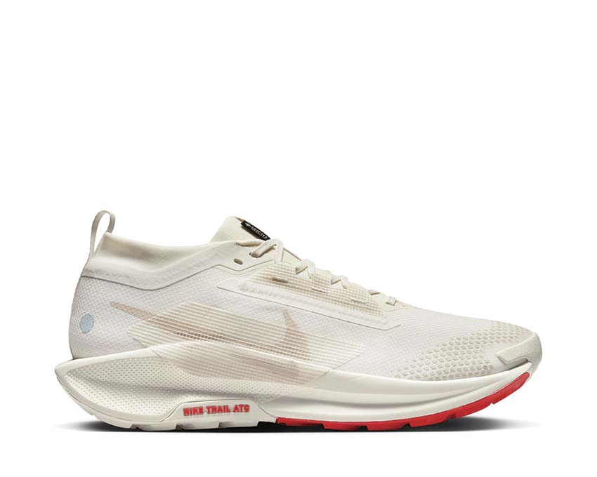 Nike Pegasus Trail 5 GTX